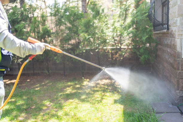 Best Wasp Removal Services  in Gloucester Courthouse, VA