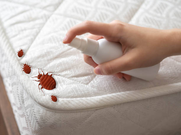 Best Mosquito Control Services  in Gloucester Courthouse, VA